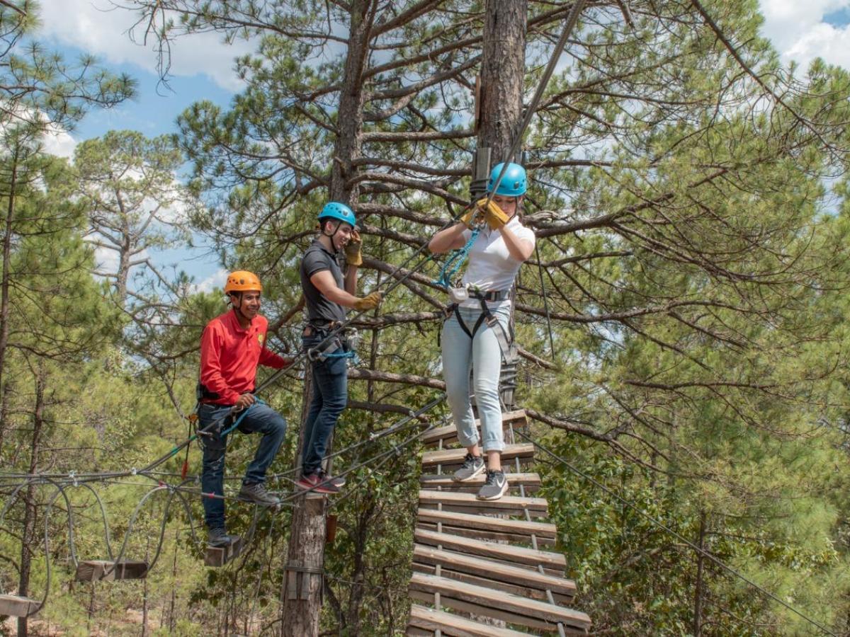 Bosque Aéreo