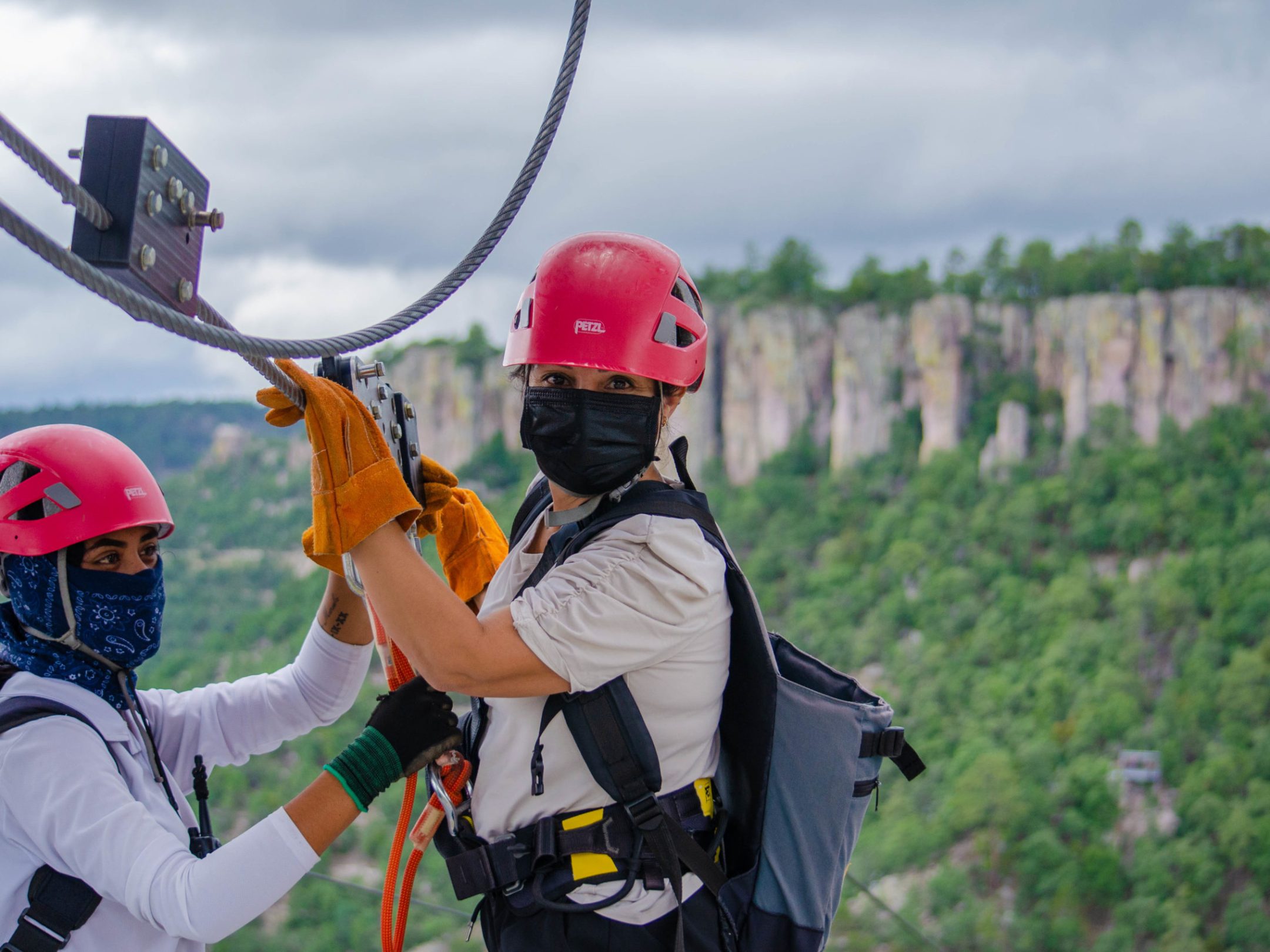 a person holding a baseball bat