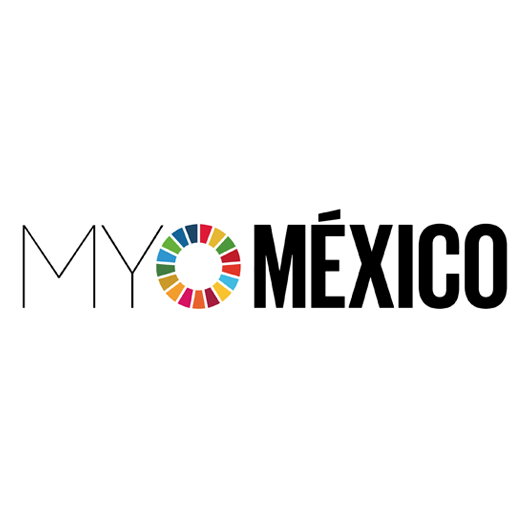 my-world-mexico-horizontal logo, company name