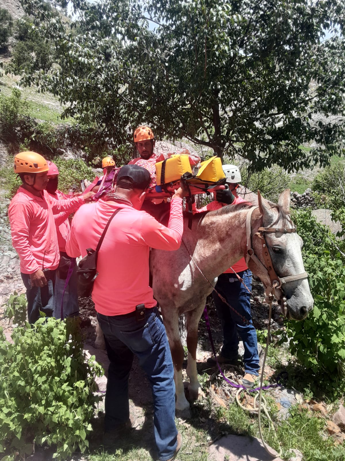 a group of people riding on the back of a horse